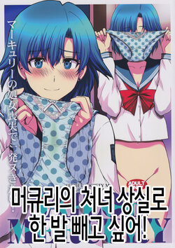 (C97) [Secret Society M (Kitahara Aki)] Mercury no Shojo Soushitsu de Ippatsu Nukitai! | 머큐리의 처녀 상실로 한 발 빼고 싶어! (Bishoujo Senshi Sailor Moon) poster