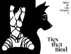 Spice of Life: Ties That Bind poster